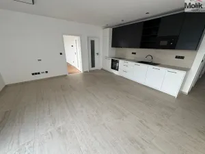 Pronájem bytu 4+kk, Most, Mátová, 97 m2