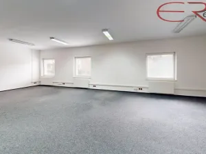 Pronájem kanceláře, Mladá Boleslav - Mladá Boleslav IV, 1800 m2