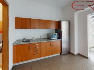 Pronájem kanceláře, Mladá Boleslav - Mladá Boleslav IV, 1800 m2