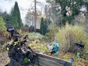 Prodej vícegeneračního domu, Podlesí, 240 m2