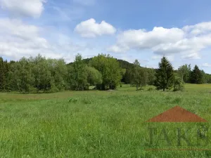 Prodej pozemku pro bydlení, Srní, 3812 m2