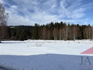 Prodej pozemku pro bydlení, Srní, 3812 m2