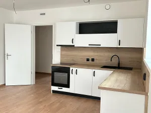 Pronájem bytu 3+kk, Zásmuky, Na Pile, 75 m2