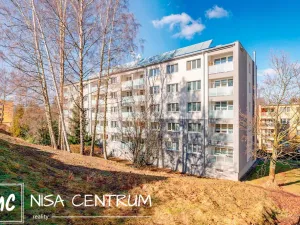 Prodej bytu 1+1, Liberec, U Potůčku, 41 m2