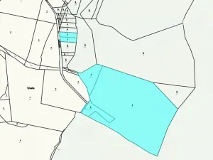 Prodej lesa, Hosín, 32334 m2