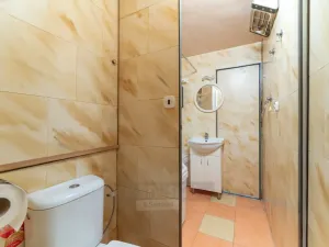 Prodej bytu 2+1, České Budějovice - České Budějovice 3, Plzeňská, 49 m2