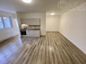 Pronájem bytu 1+kk, Ivanovice na Hané, 42 m2