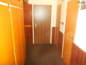 Prodej bytu 2+1, Chomutov, Cihlářská, 52 m2