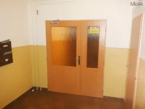 Prodej bytu 2+1, Chomutov, Cihlářská, 52 m2