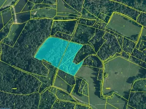 Prodej lesa, Pačejov, 15990 m2