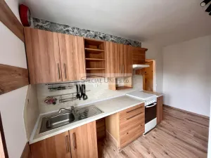 Prodej bytu 1+1, Kladno - Kročehlavy, U výtopny, 35 m2