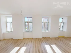 Prodej bytu 1+kk, České Budějovice - České Budějovice 3, Rudolfovská tř., 48 m2