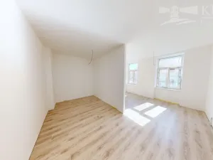 Prodej bytu 1+kk, České Budějovice - České Budějovice 3, Rudolfovská tř., 48 m2