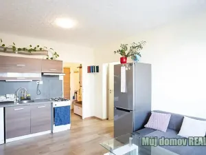 Prodej bytu 3+kk, Praha - Kamýk, 40 m2