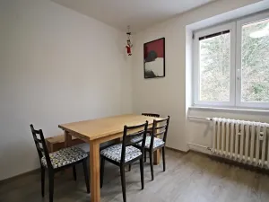 Pronájem bytu 4+kk, Brno, Neumannova, 93 m2