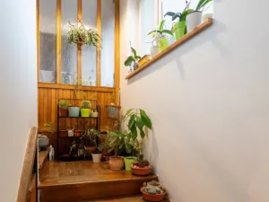 Prodej rodinného domu, Lípa, 280 m2