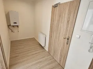 Pronájem bytu 1+kk, Doksy, Dalibora z Myšlína, 38 m2