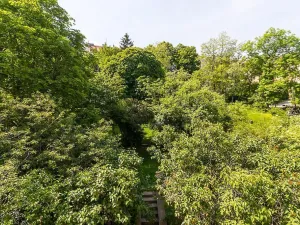 Pronájem bytu 2+kk, Praha - Dejvice, Zikova, 60 m2