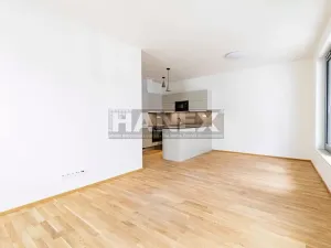 Pronájem bytu 2+kk, Praha - Karlín, Pernerova, 55 m2