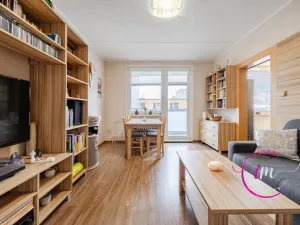 Prodej bytu 2+1, Třebíč - Nové Dvory, Jar. Heyrovského, 50 m2