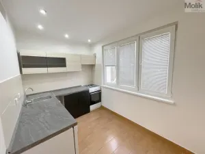 Pronájem bytu 2+1, Litvínov - Horní Litvínov, Podkrušnohorská, 56 m2