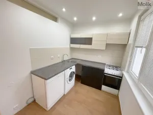 Pronájem bytu 2+1, Litvínov - Horní Litvínov, Podkrušnohorská, 56 m2