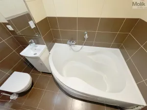 Pronájem bytu 2+1, Litvínov - Horní Litvínov, Podkrušnohorská, 56 m2