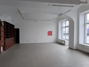 Pronájem výrobních prostor, Teplice, Pražská, 651 m2