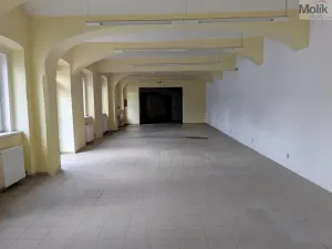 Pronájem výrobních prostor, Teplice, Pražská, 651 m2