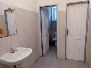 Pronájem výrobních prostor, Teplice, Pražská, 651 m2