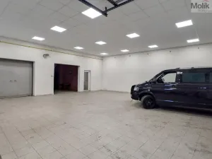 Pronájem výrobních prostor, Teplice, Pražská, 651 m2