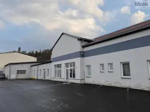 Pronájem výrobních prostor, Teplice, Pražská, 651 m2