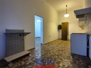 Pronájem bytu 1+1, České Budějovice, Fráni Šrámka, 50 m2