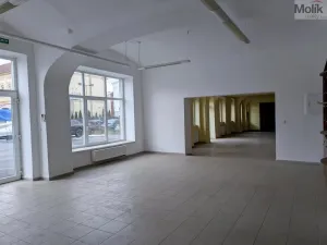 Pronájem obchodního prostoru, Teplice, Pražská, 271 m2
