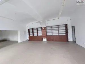 Pronájem obchodního prostoru, Teplice, Pražská, 271 m2