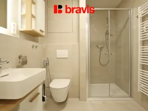 Pronájem bytu 2+kk, Brno - Staré Brno, Rybářská, 47 m2