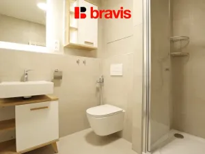 Pronájem bytu 2+kk, Brno - Staré Brno, Rybářská, 47 m2