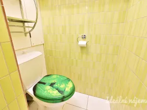 Pronájem bytu 1+1, Brno, Dubová, 32 m2