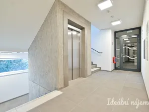 Pronájem bytu 1+kk, Brno, Rybářská, 29 m2