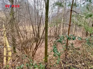 Prodej rybníku, Ondřejov, 8264 m2