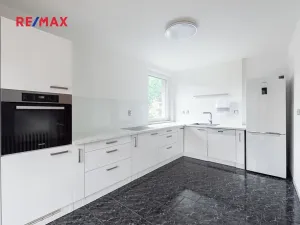 Prodej komerční nemovitosti, Měchenice, Hlavní, 330 m2