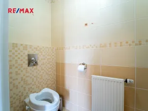 Prodej rodinného domu, Měchenice, Na Vyhlídce, 246 m2