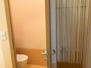 Pronájem bytu 1+kk, Olomouc, Peškova, 45 m2