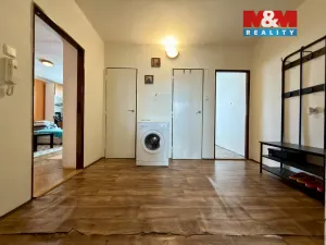 Prodej bytu 2+1, Nové Hrady, Česká, 50 m2