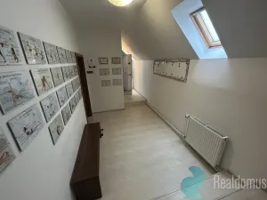 Pronájem komerční nemovitosti, České Budějovice - České Budějovice 2, Husova tř., 300 m2