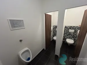 Pronájem komerční nemovitosti, České Budějovice - České Budějovice 2, Husova tř., 300 m2