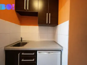 Prodej bytu 1+kk, Ostrava, Krakovská, 20 m2