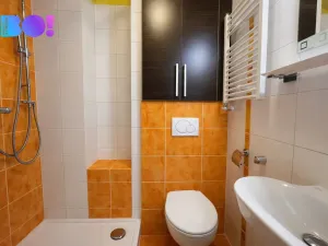 Prodej bytu 1+kk, Ostrava, Krakovská, 20 m2