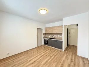 Pronájem bytu 1+1, Liberec - Liberec X-Františkov, Jáchymovská, 39 m2