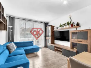 Prodej bytu 3+1, Ústí nad Orlicí, Chodská, 68 m2